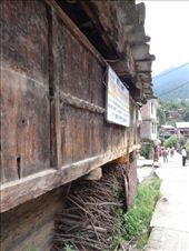 by ruthandklas, Views[223]