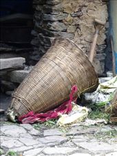 by ruthandklas, Views[187]