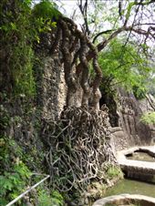 by ruthandklas, Views[130]