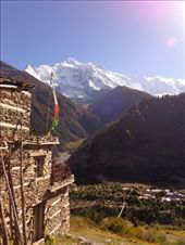 by ruthandklas, Views[121]