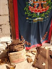 by ruthandklas, Views[92]