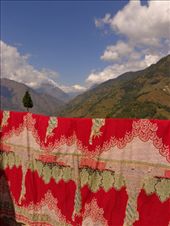 by ruthandklas, Views[147]