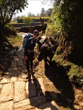 by ruthandklas, Views[116]