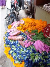 by ruthandklas, Views[171]