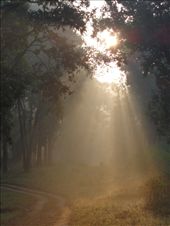 by ruthandklas, Views[159]