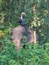 by ruthandklas, Views[265]