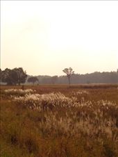 by ruthandklas, Views[146]