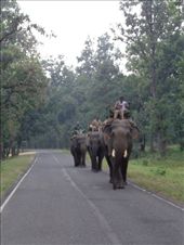 by ruthandklas, Views[178]