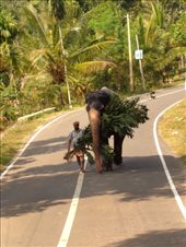 by ruthandklas, Views[109]