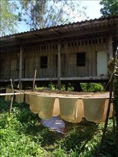 by ruthandklas, Views[148]