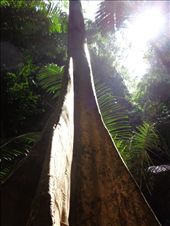 by ruthandklas, Views[133]