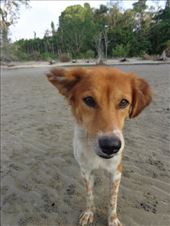 by ruthandklas, Views[157]