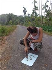 by ruthandklas, Views[158]