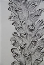 by ruthandklas, Views[119]