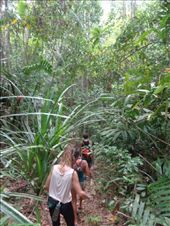 by ruthandklas, Views[185]