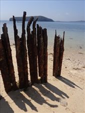 by ruthandklas, Views[124]