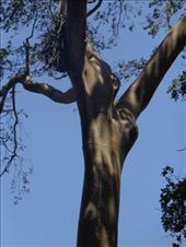 by ruthandklas, Views[158]