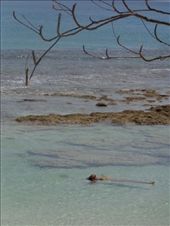 by ruthandklas, Views[121]