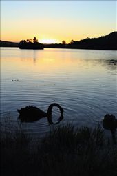 Some towns are embracing the sustainable option providing sanctuaries. : by ruthie, Views[275]