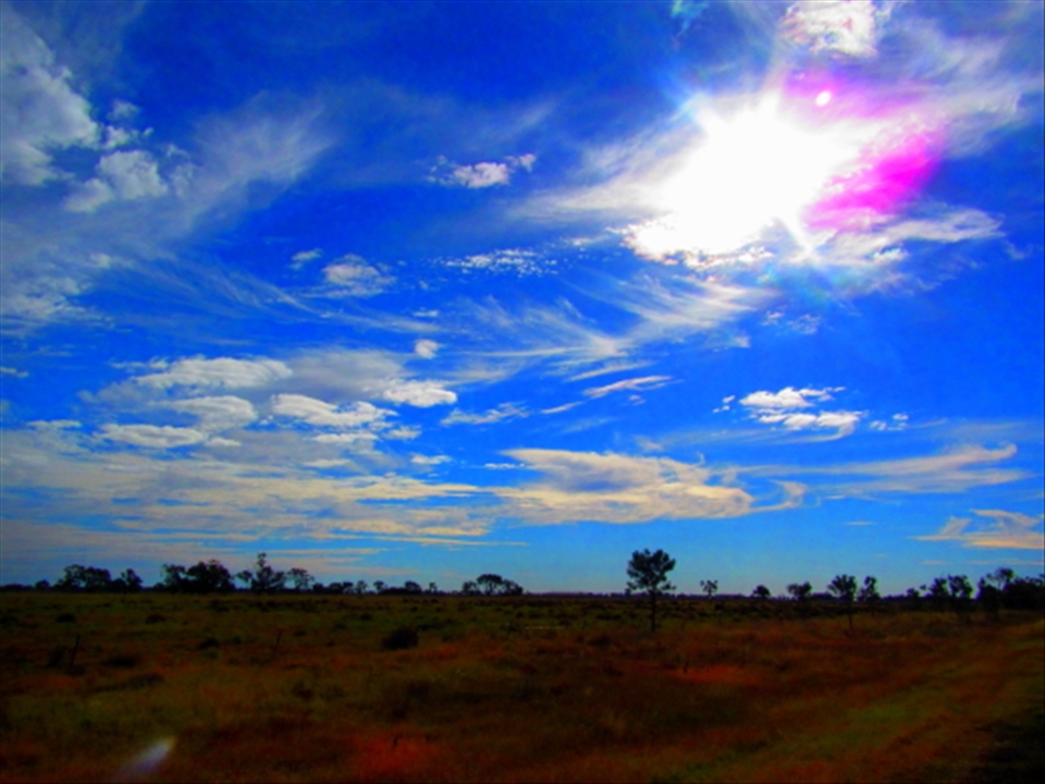 The dry, scrubby lands of outback NSW appear to stretch on forever