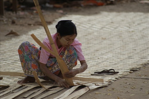 A young woman weaves bamboo into walls for her house.