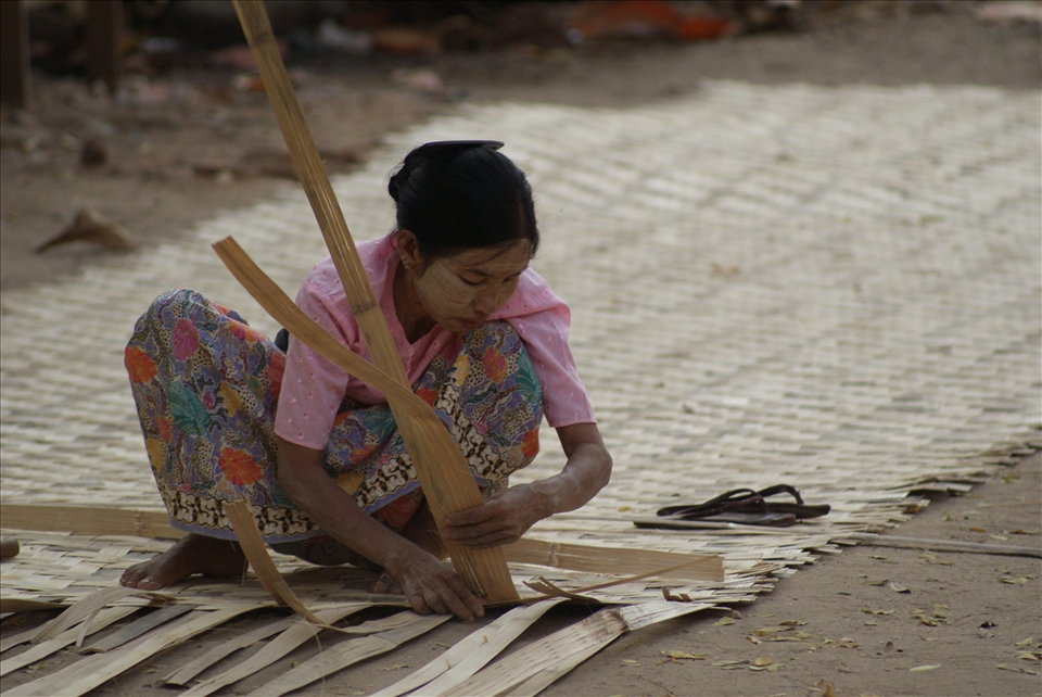 A young woman weaves bamboo into walls for her house.
