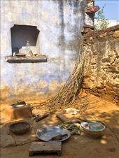 by ryane-be-roamin, Views[144]