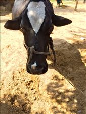 by ryane-be-roamin, Views[108]