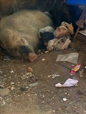 by ryane-be-roamin, Views[105]