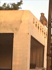 by ryane-be-roamin, Views[110]