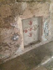 by ryane-be-roamin, Views[136]