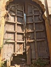 by ryane-be-roamin, Views[109]