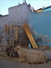 by ryane-be-roamin, Views[103]