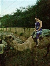 by ryane-be-roamin, Views[93]