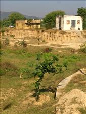 by ryane-be-roamin, Views[88]