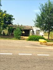 by ryane-be-roamin, Views[104]