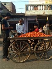 by ryane-be-roamin, Views[102]