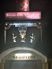 by ryane-be-roamin, Views[214]