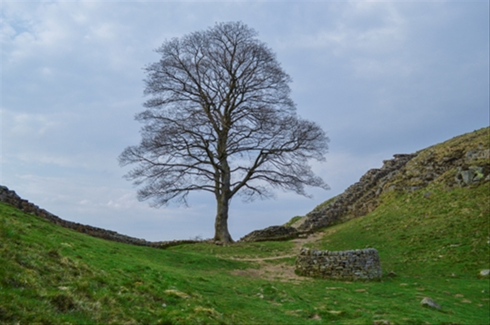 Made famous by a Robin Hood movie; I got caught in a rainstorm shortly after