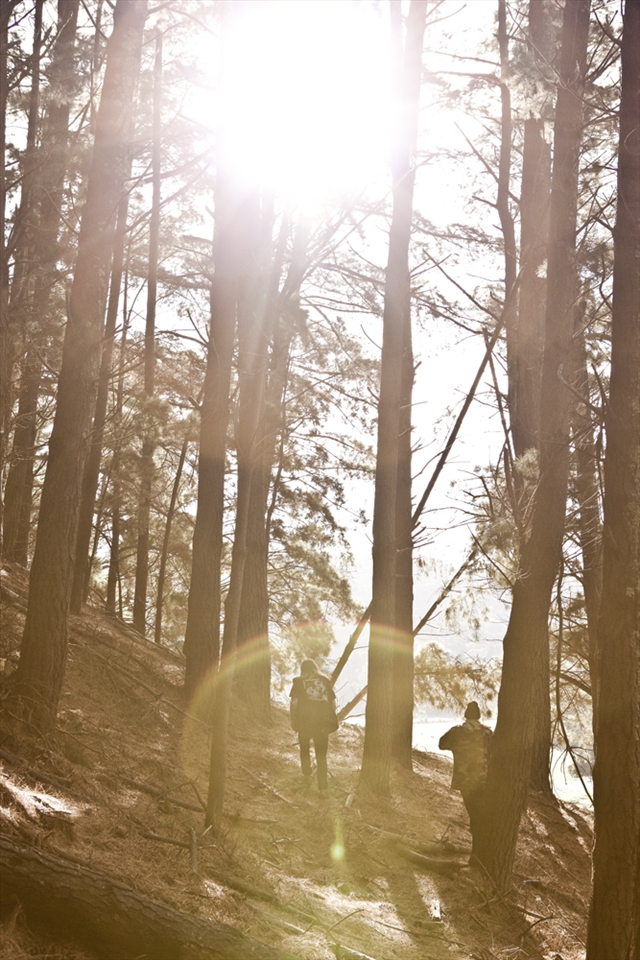 Sometimes you have to search to find a better view. 