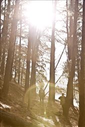 Sometimes you have to search to find a better view. : by ryansmith, Views[192]