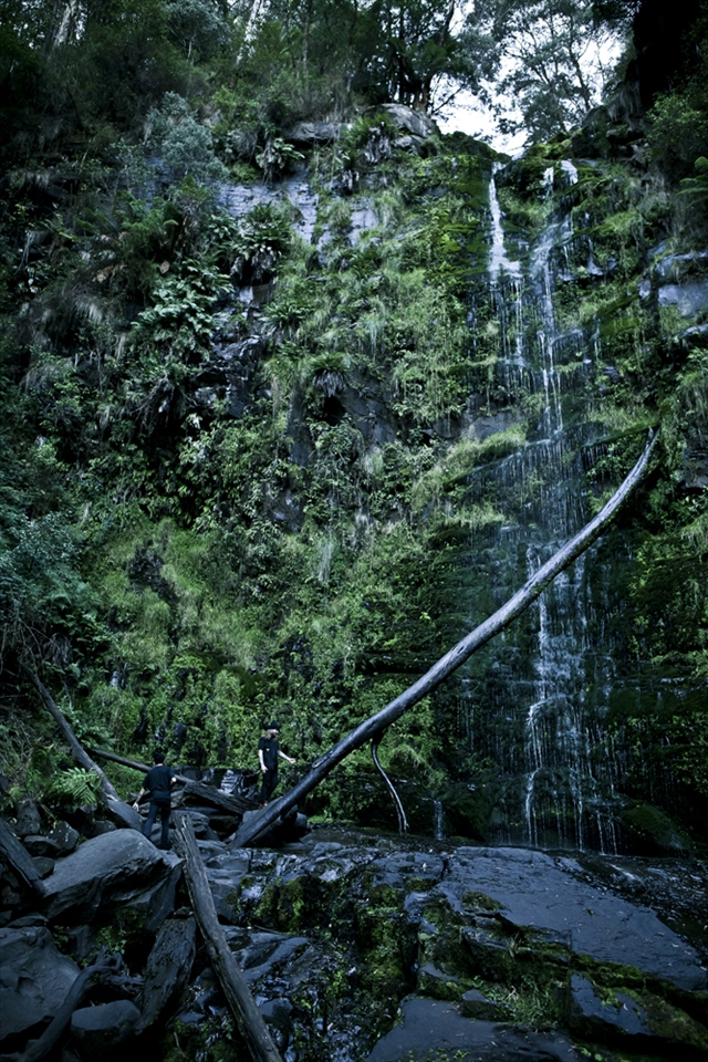 Who knows what you'll find when you stray from the path?