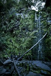 Who knows what you'll find when you stray from the path?: by ryansmith, Views[236]