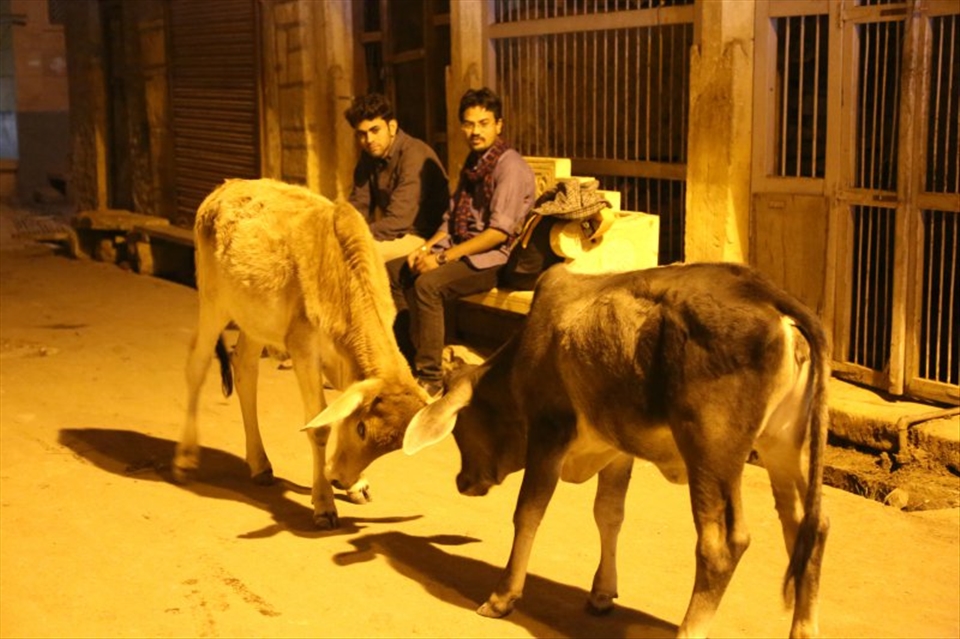 SOME DUES TO BE SORTED OUT FIRST IN SOMEONES WITNESS.