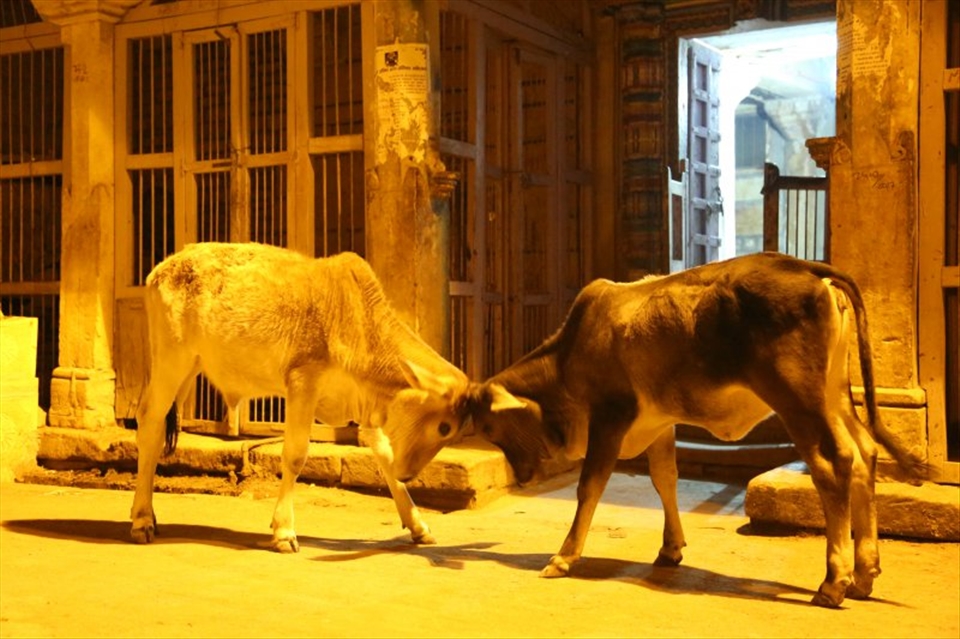 GOING ONTO THE NEXT LEVEL.