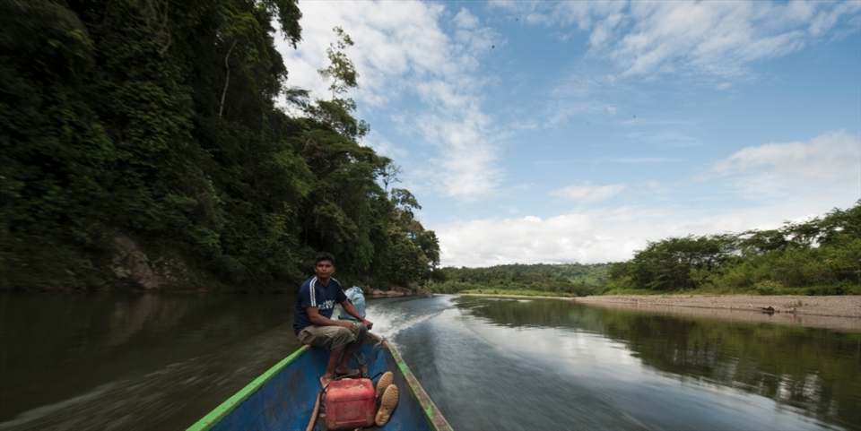 On the way to the Bribri community in Talamanca, up the Yorkin river, with Panama on one side and Costa Rica on the other. The two hour journey was upstream, and beautiful!