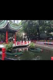 by sadayton28, Views[173]