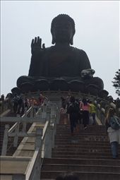 by sadayton28, Views[269]