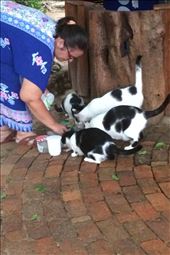 by sadayton28, Views[204]