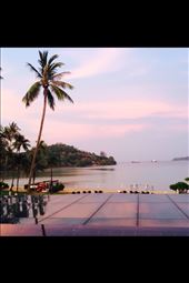 by sadayton28, Views[362]